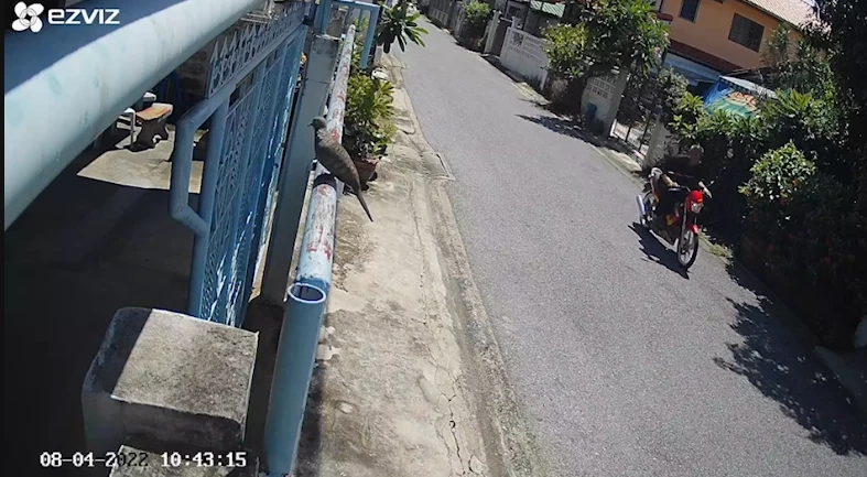 เพื่อนบ้าน เสธ.ทอ.เบิ่ลเครืองรถสนั่นซอย