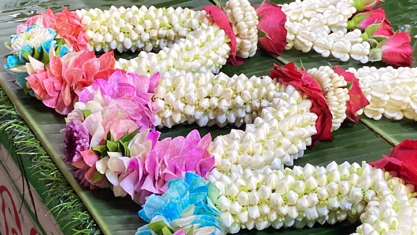 ดอกมะลิวันแม่ราคาพุ่ง ที่โคราช กก. ละ 2,600 แม่ค้าต้องใช้ดอกพุดร้อยมาลัยแทน