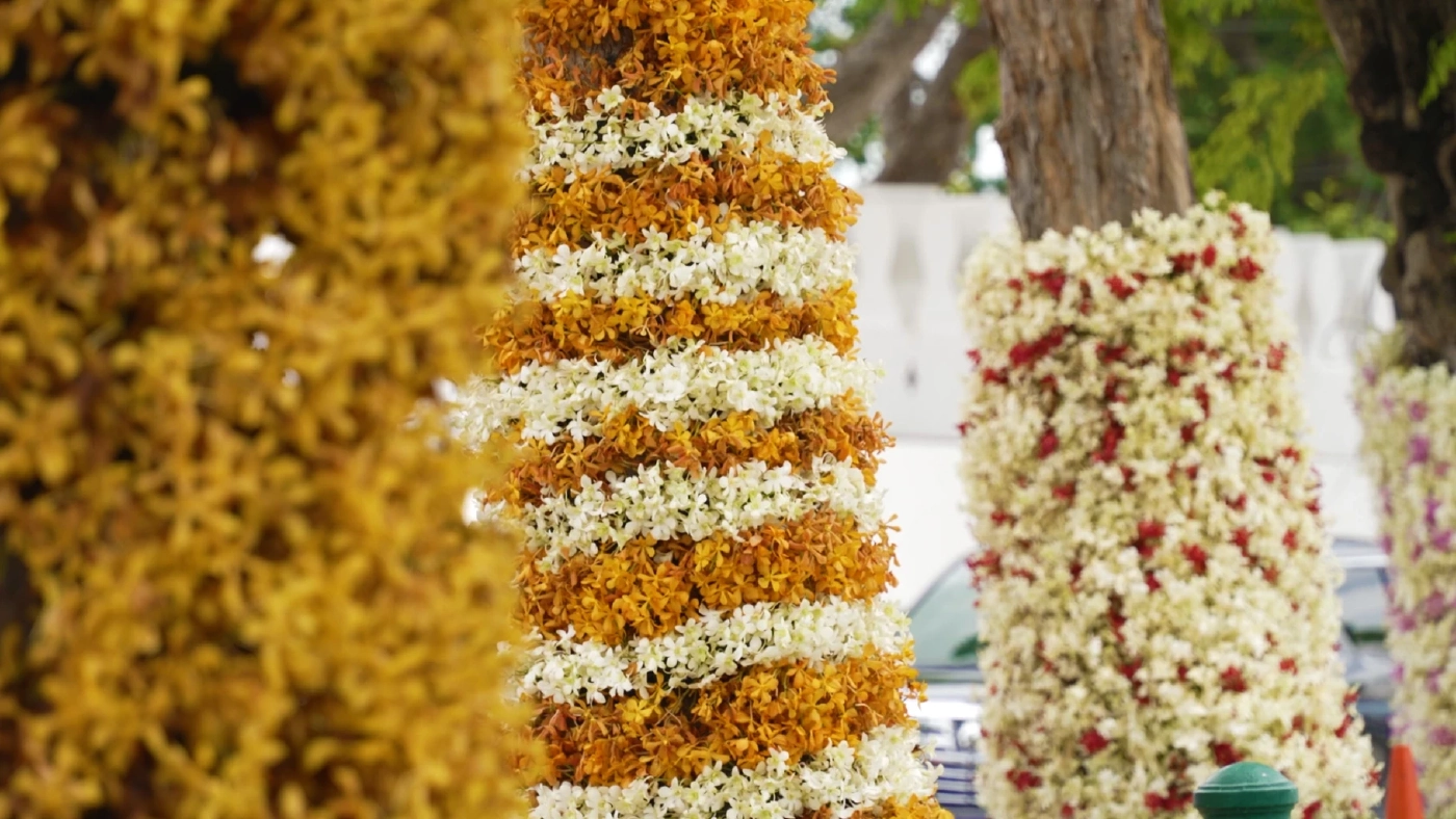 รมต.สำนักนายกฯ ปลื้ม นทท.จีนชื่นชมความสวยงามถนนราชดำเนินห้วงพระราชพิธีฯ