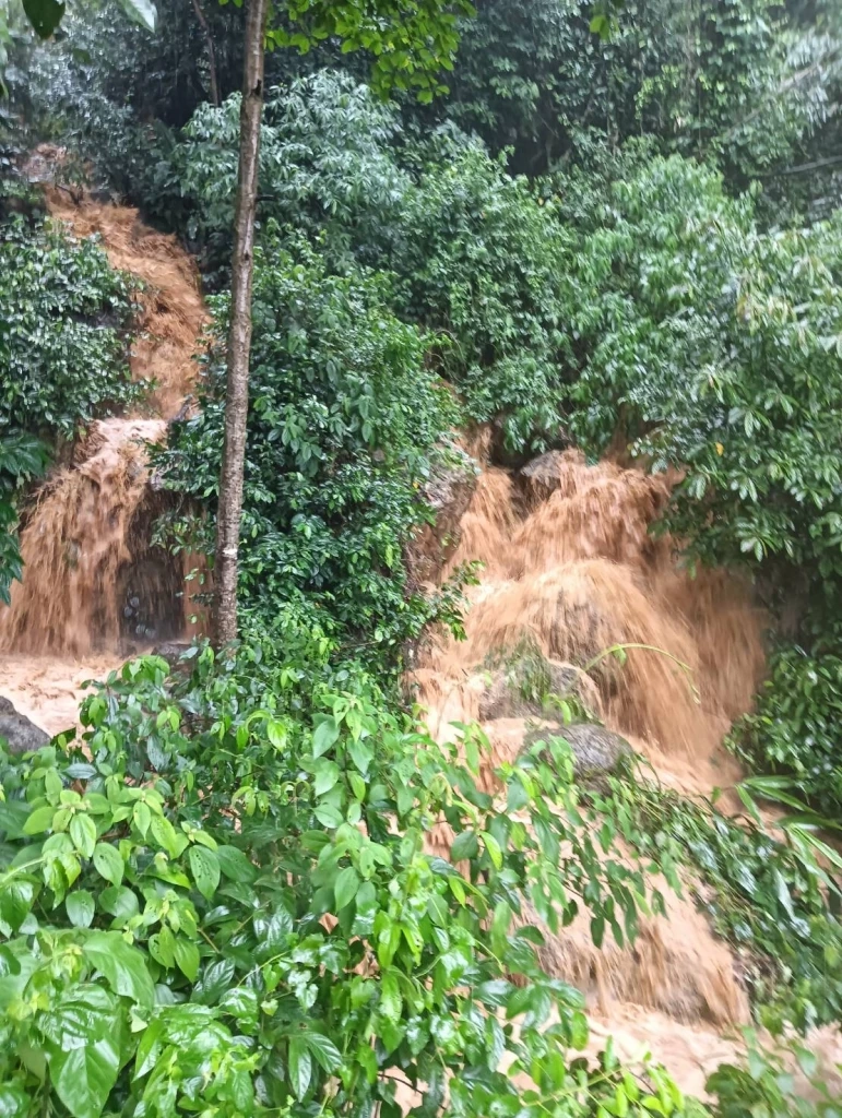 "พะเยา" ฝนถล่มหนัก น้ำป่าไหลลงดอย เข้าท่วมหมู่บ้านชาวเขาปางปูเลาะ