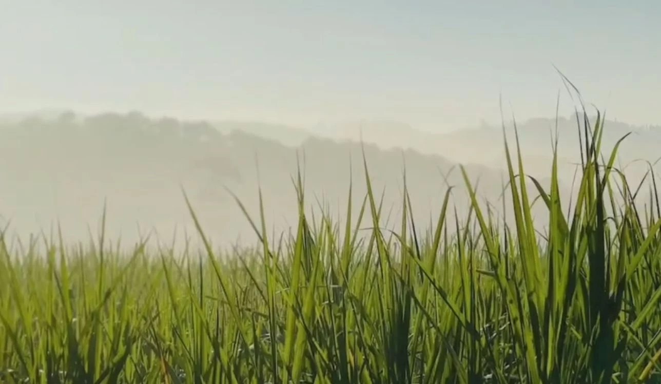 ชวน นทท. เดิน-วิ่ง-ปั่น สัมผัสดินแดนมรดกโลก ในกิจกรรม "เขาใหญ่ คาร์ฟรี เดย์ 2024"