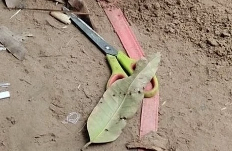 เมียสุดทน ผัวเมาซ้อมพ่อแม่พิการจนขาหัก คว้ากรรไกรแทงดับ