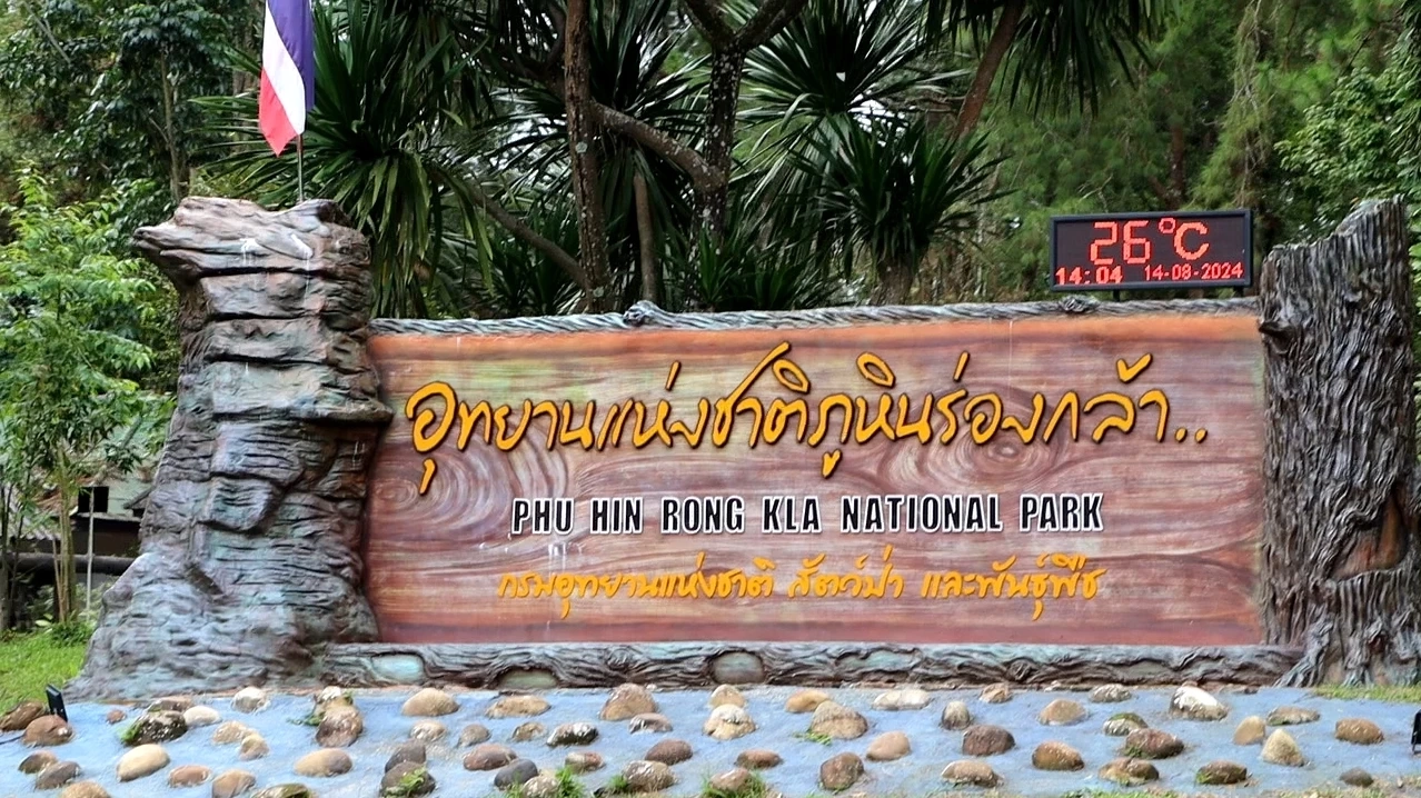 ชมความสวยงามของ "บีโกเนีย" และดอกไม้ป่านานาพรรณ กำลังเบ่งบานที่ภูหินร่องกล้า