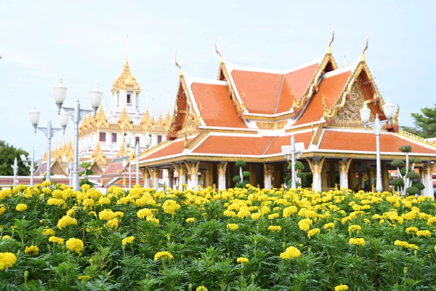 รมต.สำนักนายกฯ ปลื้ม นทท.จีนชื่นชมความสวยงามถนนราชดำเนินห้วงพระราชพิธีฯ