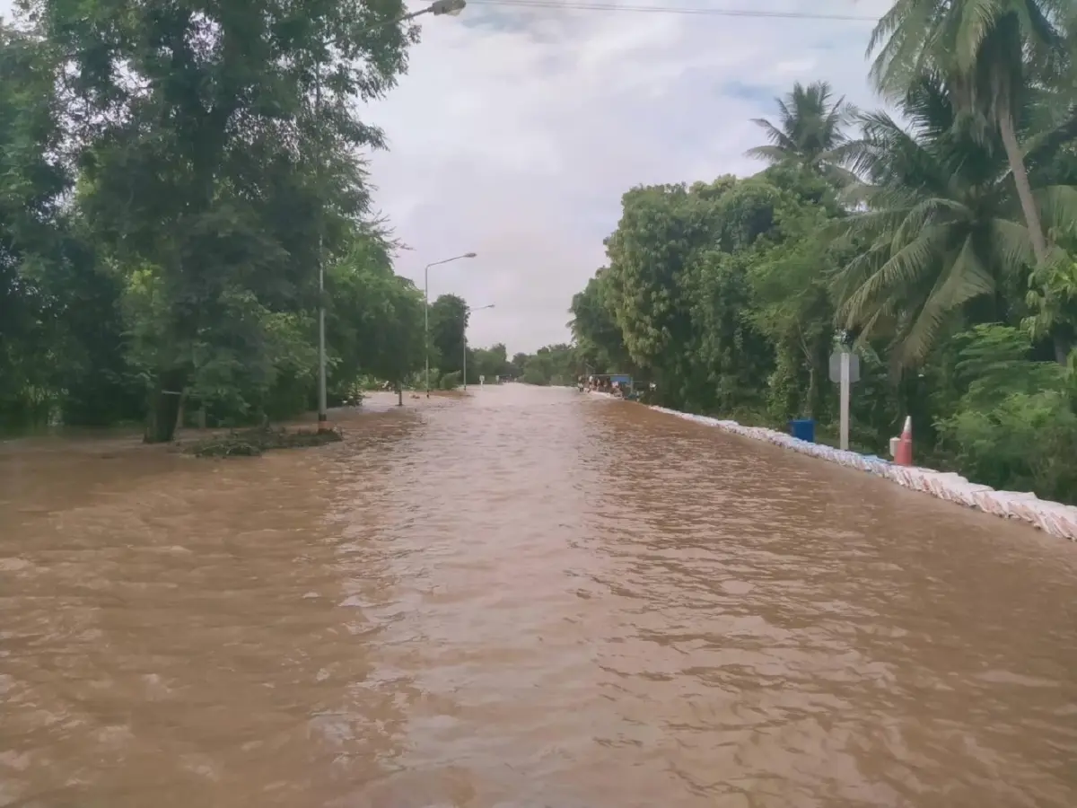 ศรีสำโรง น้ำยมทะลัก หนักกว่าปีก่อน ถึง 2 เท่า นาข้าวเสียหายนับเเสนไร่