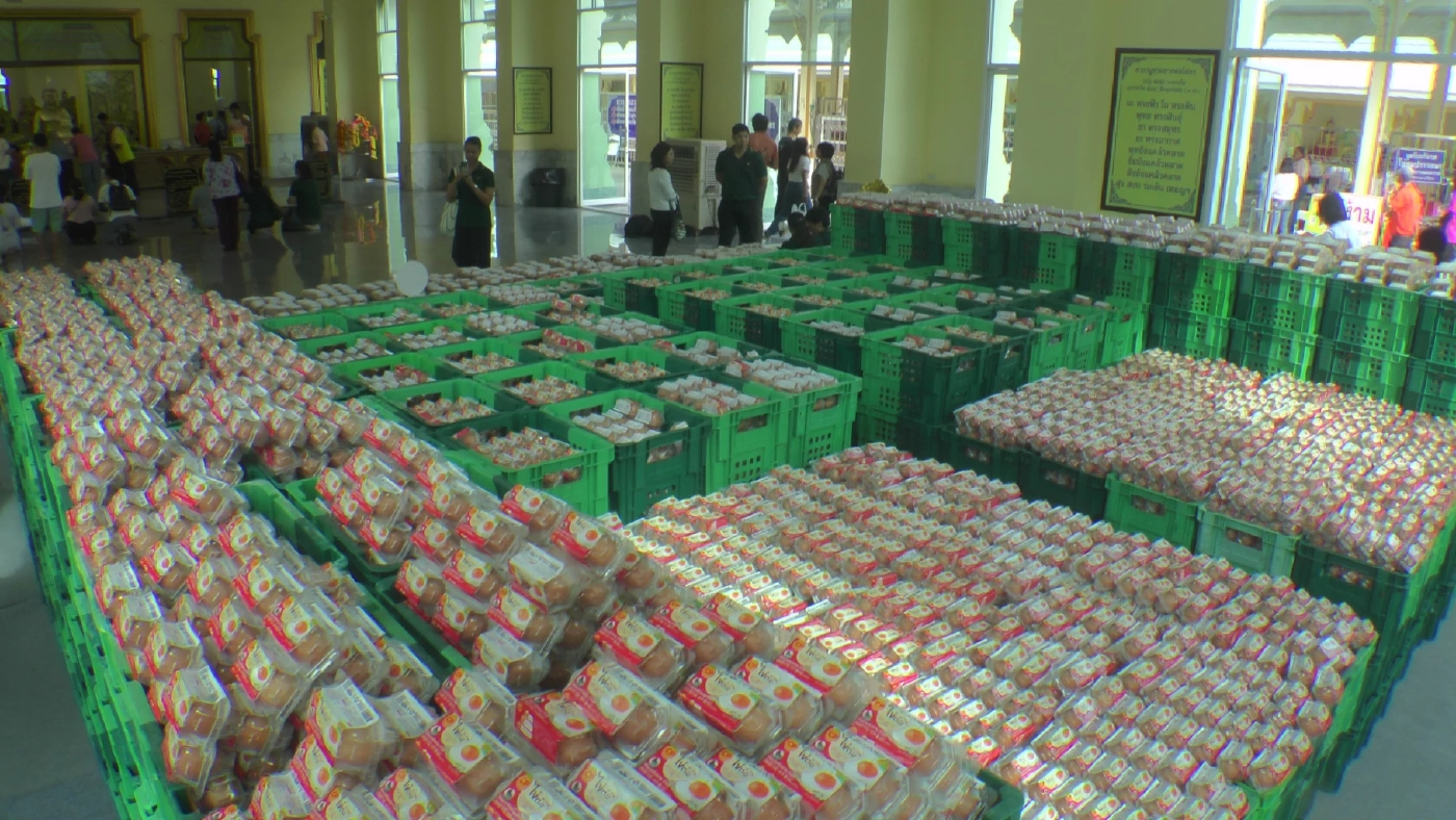 "เทนนิส" ถวายไข่ต้ม 1 แสนฟอง แก้บนหลวงพ่อโสธร