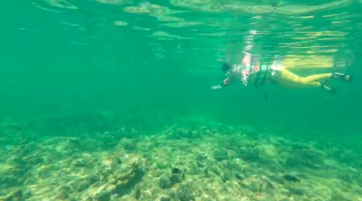 พาชมความงามท้องทะเลตรัง ที่เกาะเหลาเหลียง กับฝูงปลากะตัก แหวกว่ายแนวปะการัง