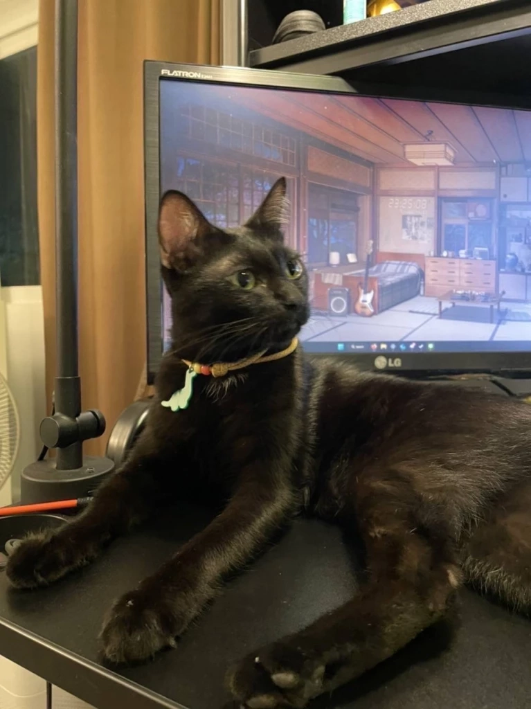 สาวทอมขโมยรถกลางห้างดัง ยังให้การวกวน รอหมอประเมินสภาพจิต