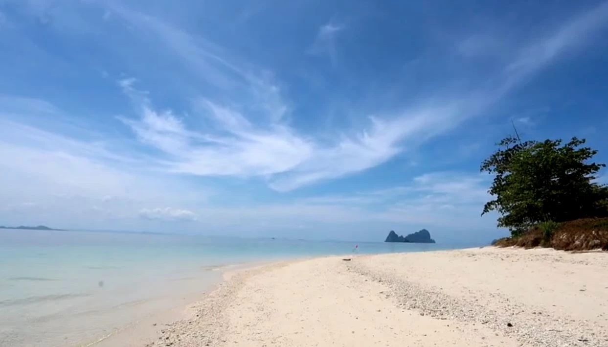 พาชมความงามท้องทะเลตรัง ที่เกาะเหลาเหลียง กับฝูงปลากะตัก แหวกว่ายแนวปะการัง