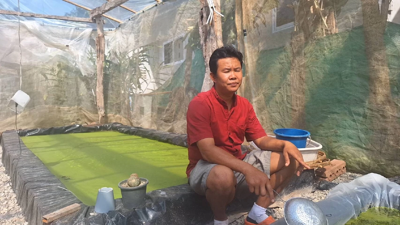 พืชแห่งอนาคต คาร์เวียประเทศไทย “ไข่ผำ” พืชมหัศจรรย์สร้างรายได้มหาศาล!