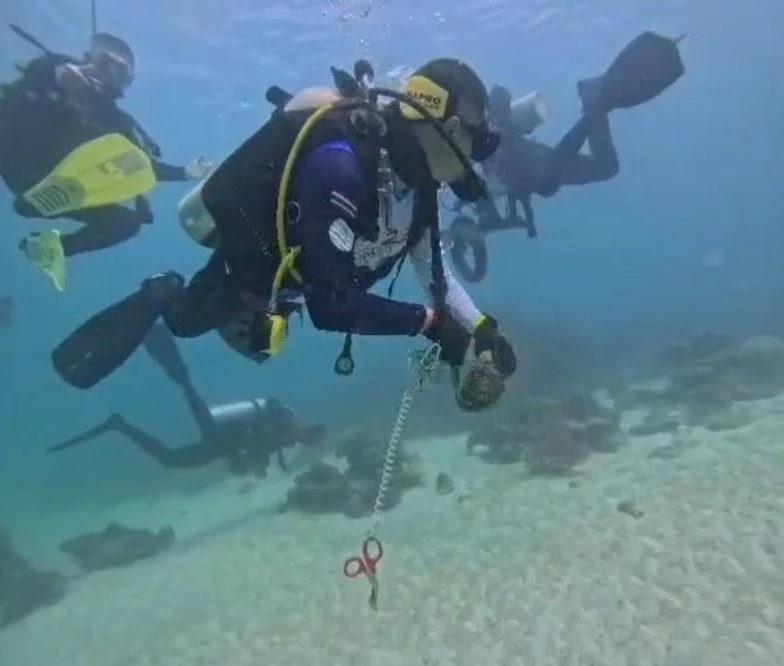 นักดำน้ำจิตอาสา ช่วยกันเก็บขยะ-เศษอวน ทำความสะอาดโลกใต้ทะเลสตูล (มีคลิป)