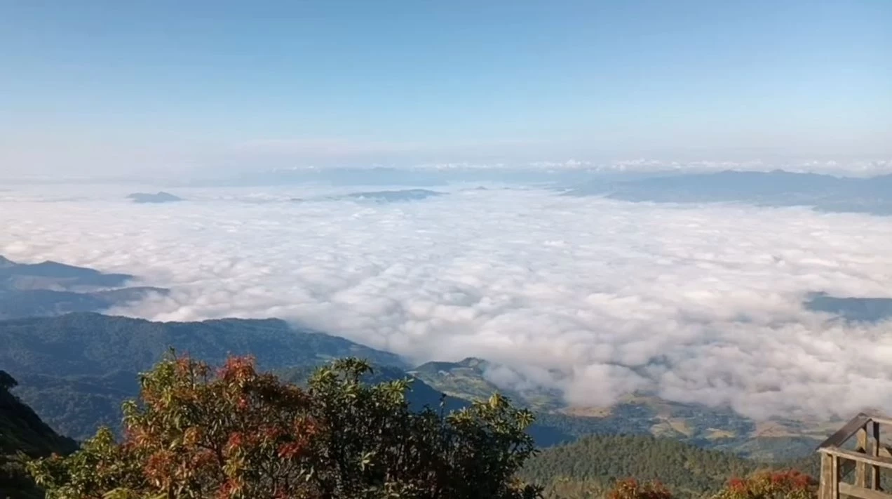 ดอยอินทนนท์คึกคัก "กิ่วแม่ปาน" เปิดวันแรก นทท.แห่ขึ้นสัมผัสหนาว ชมทะเลหมอก