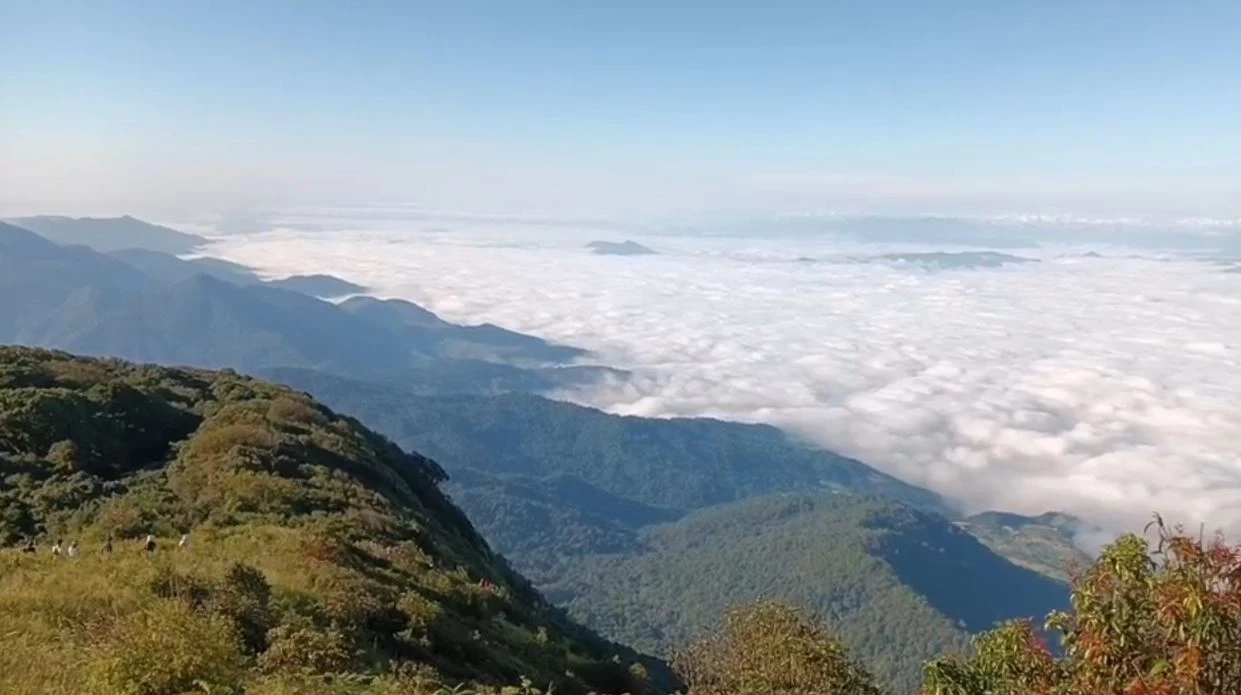 ดอยอินทนนท์คึกคัก "กิ่วแม่ปาน" เปิดวันแรก นทท.แห่ขึ้นสัมผัสหนาว ชมทะเลหมอก