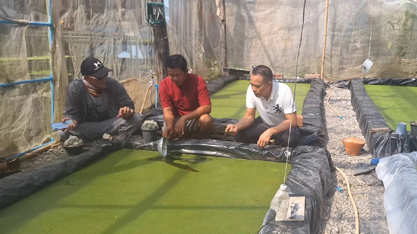 พืชแห่งอนาคต คาร์เวียประเทศไทย “ไข่ผำ” พืชมหัศจรรย์สร้างรายได้มหาศาล!