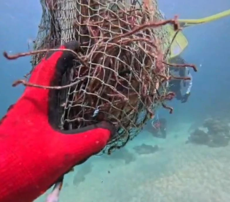 นักดำน้ำจิตอาสา ช่วยกันเก็บขยะ-เศษอวน ทำความสะอาดโลกใต้ทะเลสตูล (มีคลิป)