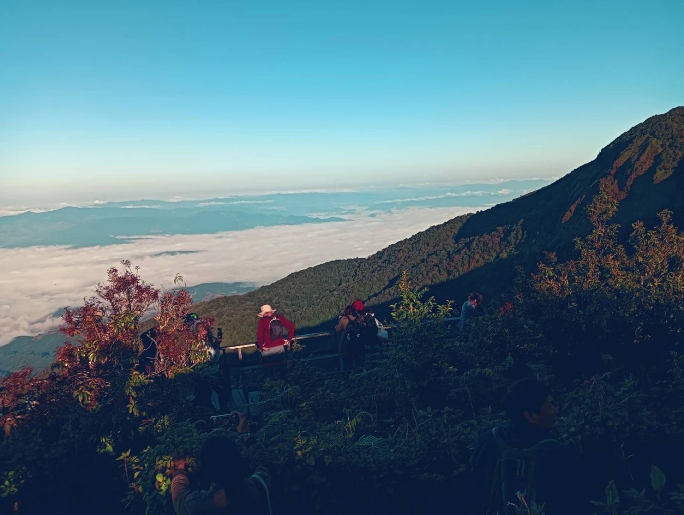 ดอยอินทนนท์คึกคัก "กิ่วแม่ปาน" เปิดวันแรก นทท.แห่ขึ้นสัมผัสหนาว ชมทะเลหมอก