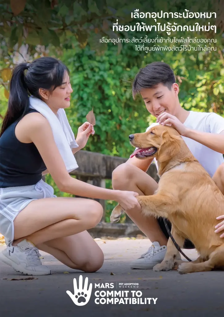 “มาร์ส เพ็ทแคร์” จับมือ “ลาซาด้า” ปลื้มแคมเปญ "เปย์ให้น้องสี่ขา" ช่วยปัญหาสัตว์เลี้ยงไร้บ้าน