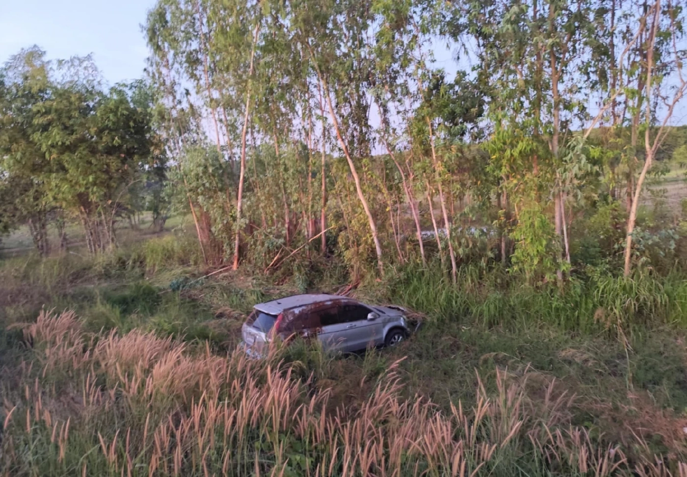 ลืออาถรรพ์ต้นสะเดา หลังโค้ง ถ.348 ปะคำ-โนนดินแดง จ.บุรีรัมย์