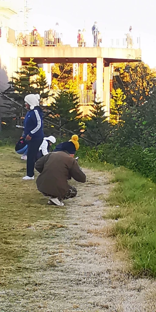 ดอยอินทนนท์เย็นยะเยือก ยอดหญ้าอุณหภูมิติดลบ เหมยขาบโผล่รอบ 3 ของปี