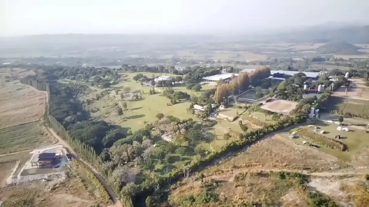 ประเทศไทยเป็นเมืองตลก - จากกฎหมู่ สู่เสียงหัวเราะในความสแกนเนอร์