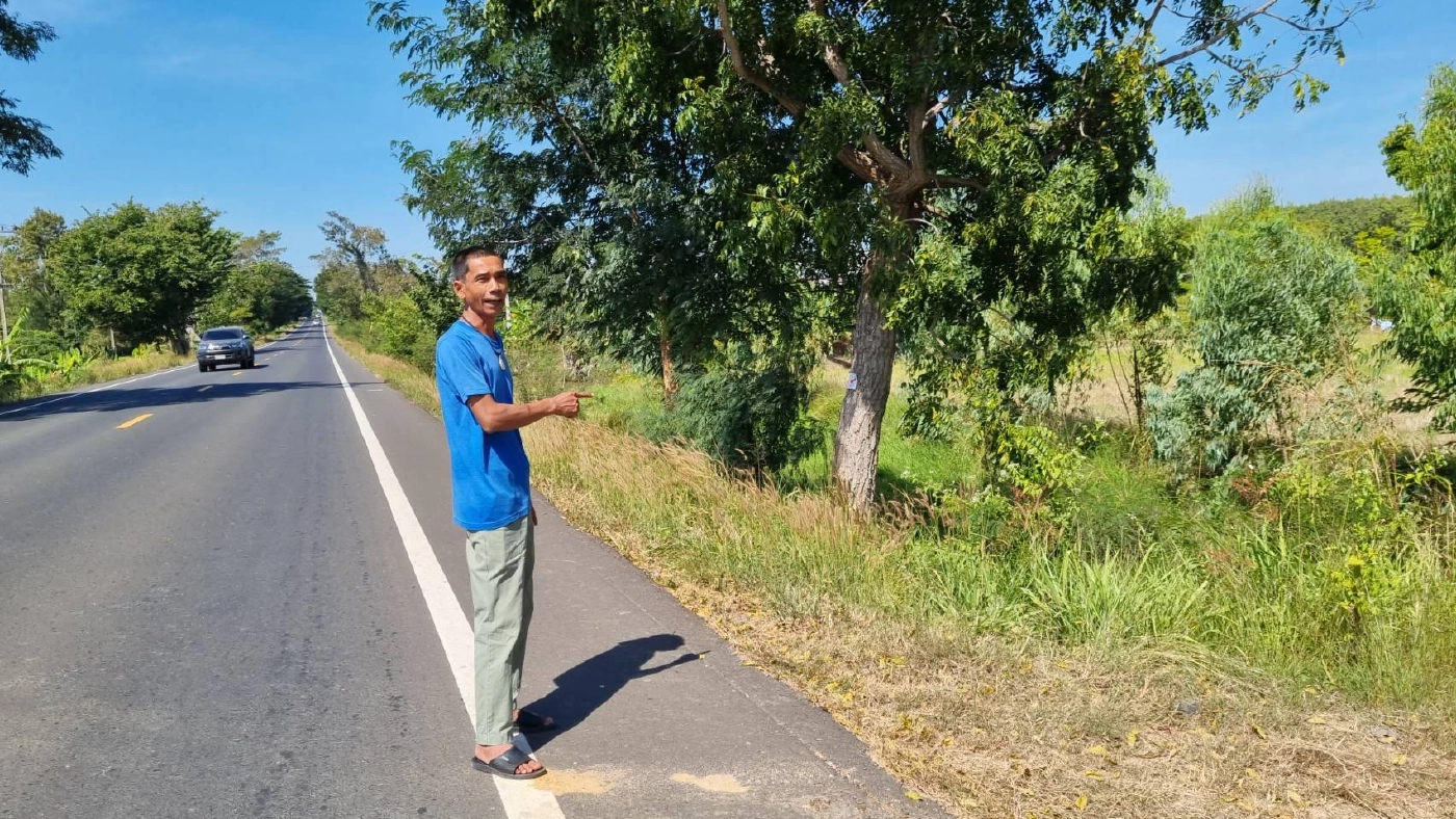 ลืออาถรรพ์ต้นสะเดา หลังโค้ง ถ.348 ปะคำ-โนนดินแดง จ.บุรีรัมย์