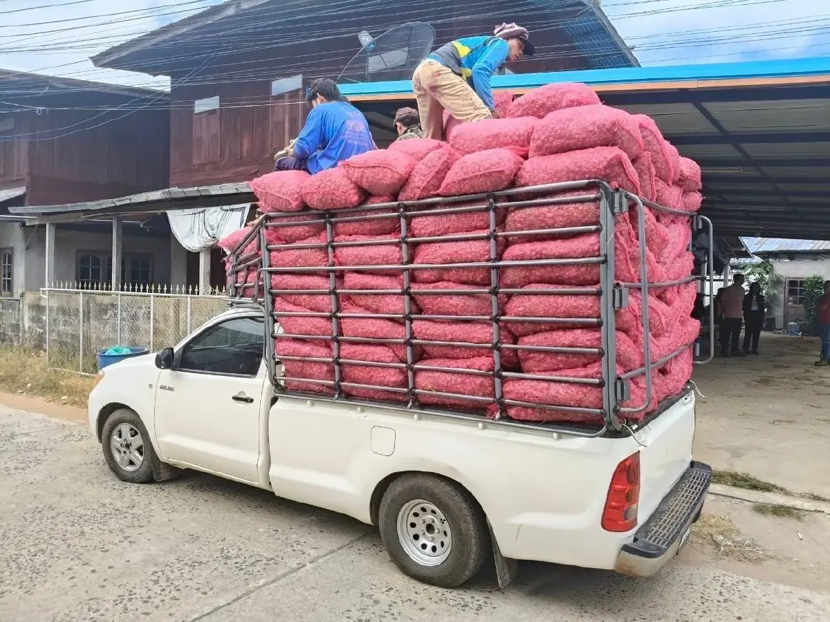 พาณิชย์ประสานคนกลางรับซื้อหอมแดง ดันราคาช่วยเกษตรกร