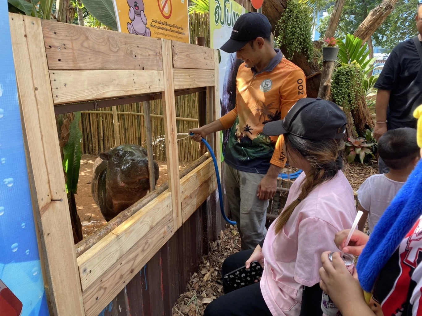 นทท.เที่ยวสวนสัตว์โคราช ชม "หมูมะนาว" ว่าที่เจ้าสาว "หมูตุ๋น"