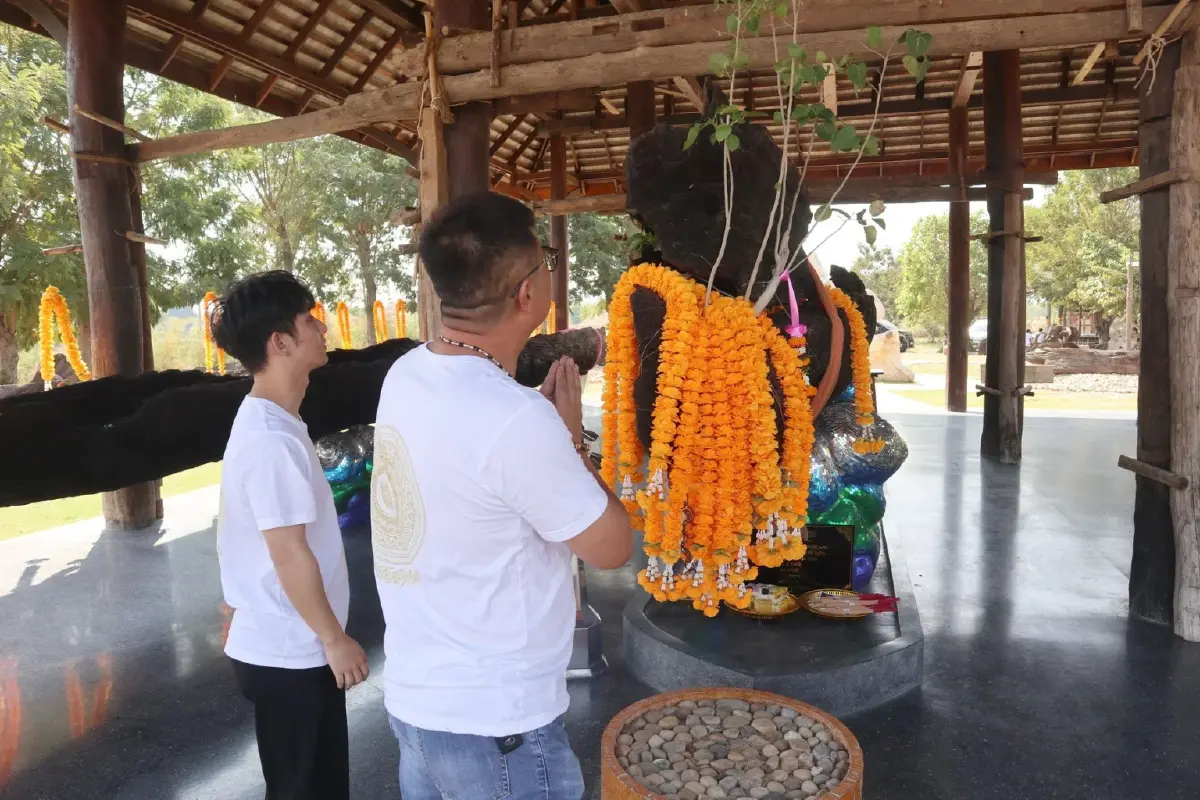 ชาวจีนบินแก้บนเรือตะเคียนโบราณที่กาญฯ เชื่อพลังศักดิ์สิทธิ์ช่วยหายป่วย
