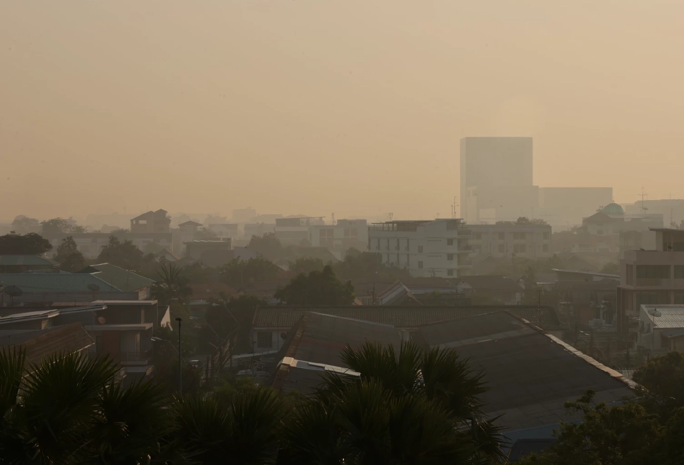 PM 2.5 ไม่ควรมีใครต้องตาย เพียงเพราะหายใจ