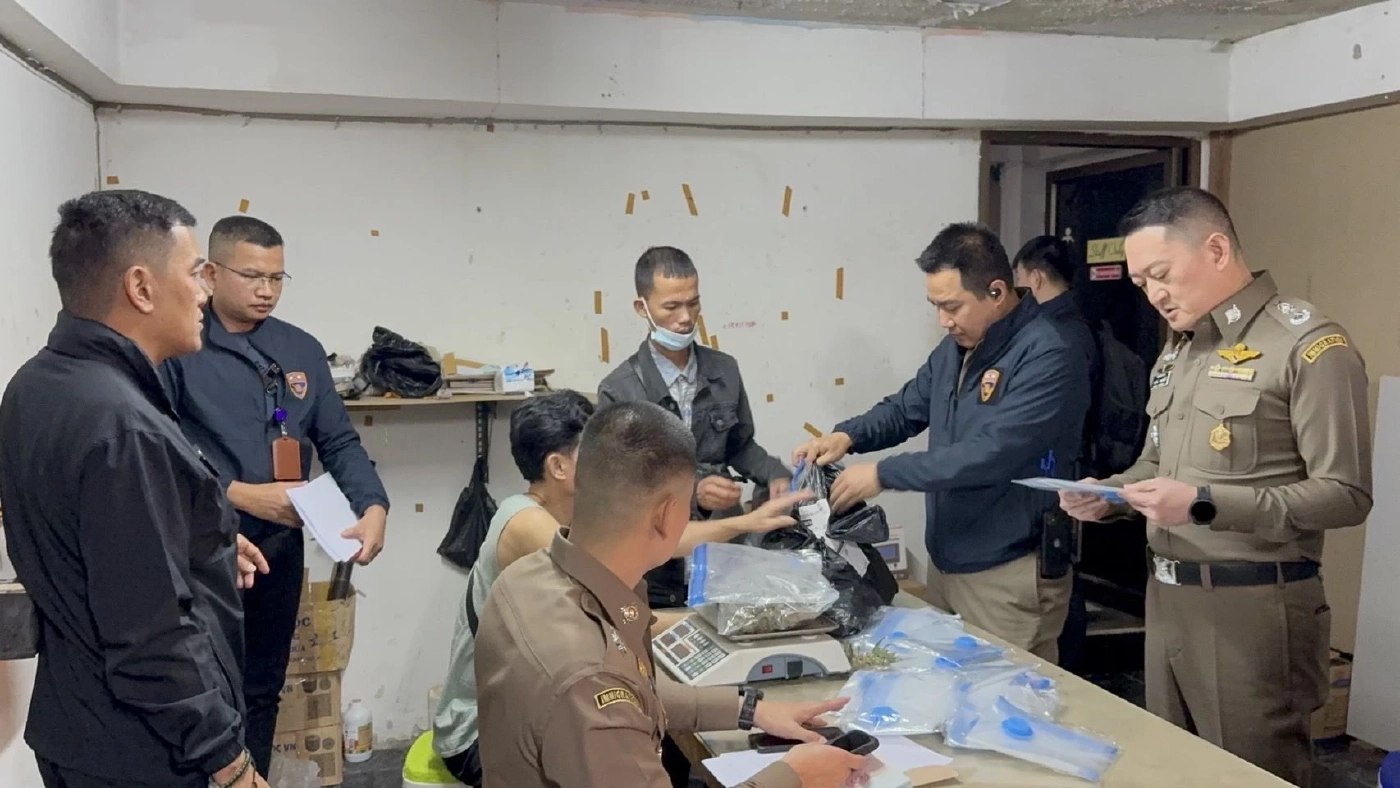 กลิ่นหึ่ง ตม.บุกทลายตึกแถว 4 ชั้น ลักลอบปลูกกัญชาทั้งตึก จับต่างด้าว