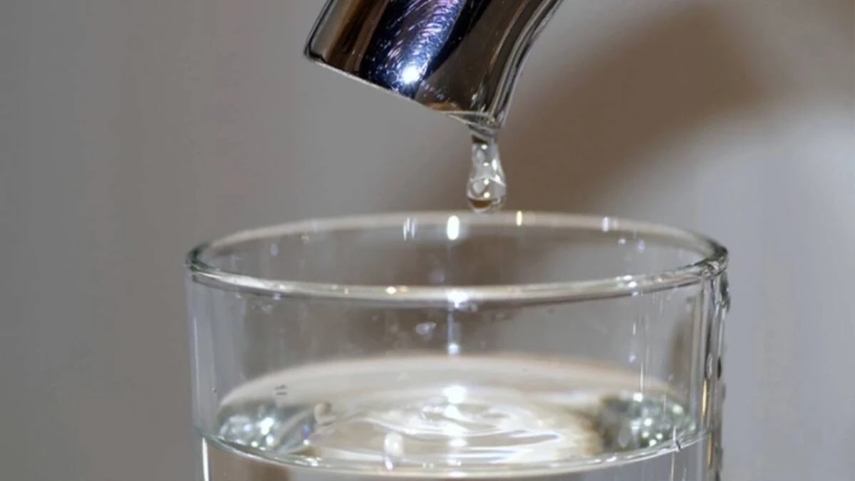 ภาพโดย Henryk Niestrój จาก Pixabay