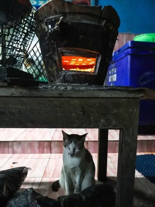 "เหนือ-อีสาน" อากาศหนาว มีหมอกในตอนเช้า ส่วนยอดดอยเย็นจัด