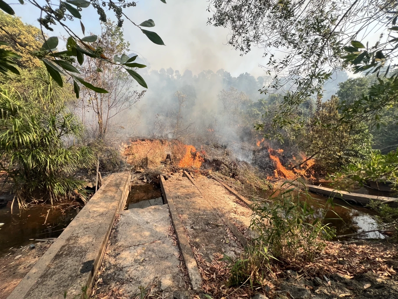 ระทึก! “ไฟป่า” ฝั่งเขมร ลามเขตฐานทหารพรานไทย เกิดเสียงบึ้มเป็นระยะๆ