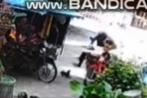 เก่งแต่กับหมา! เร่งล่าตัว " พนง.ขนส่งใจสถุล" ทำร้าย "ชิวาวา" จนชัก