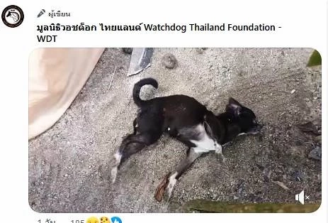 เก่งแต่กับหมา! เร่งล่าตัว " พนง.ขนส่งใจสถุล" ทำร้าย "ชิวาวา" จนชัก