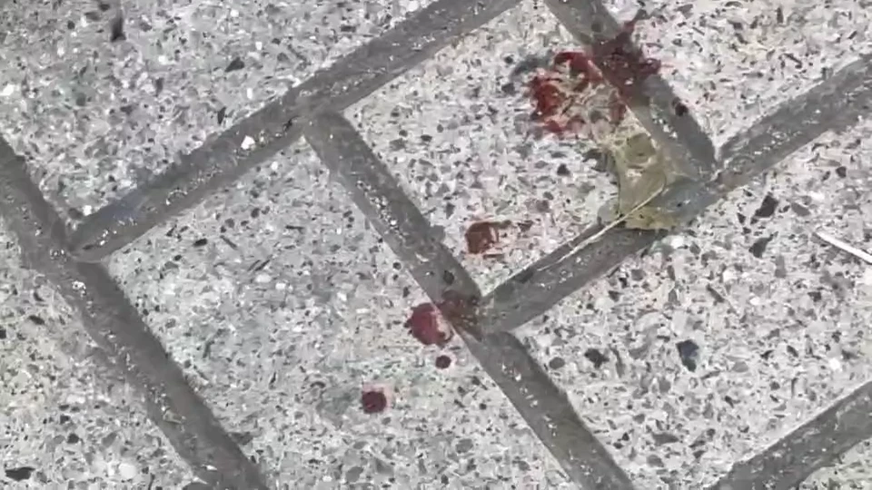 แกะรอย เร่งล่ามือมืดรัว 5 นัด "นักศึกษาอุเทน" สาหัส จับตาสางแค้น "วันบลูเดย์"