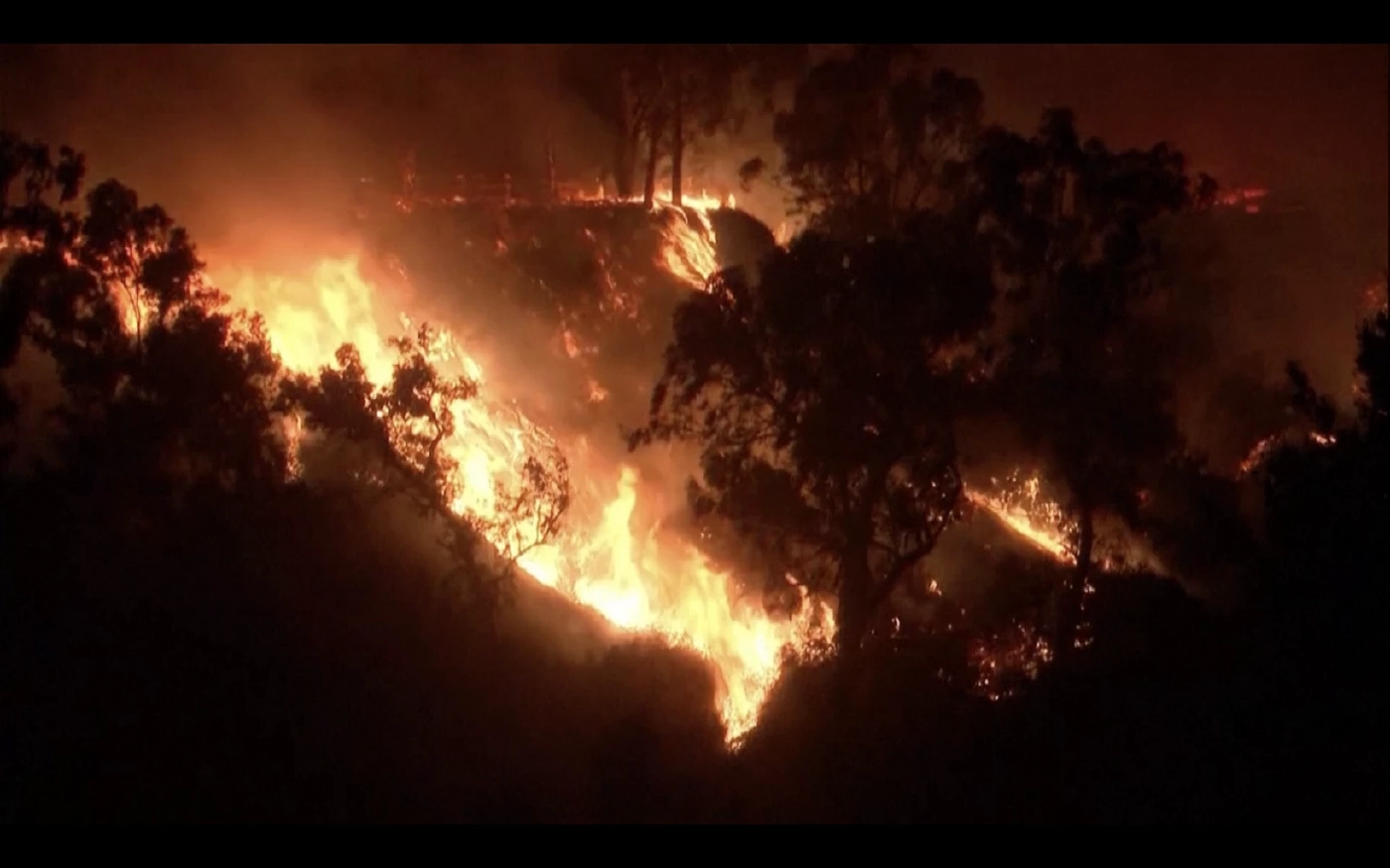 บ้านทนไฟรอดหายนะจากไฟป่าแอลเอ ด้วยแผนสร้างบ้านรับมือภัยพิบัติ