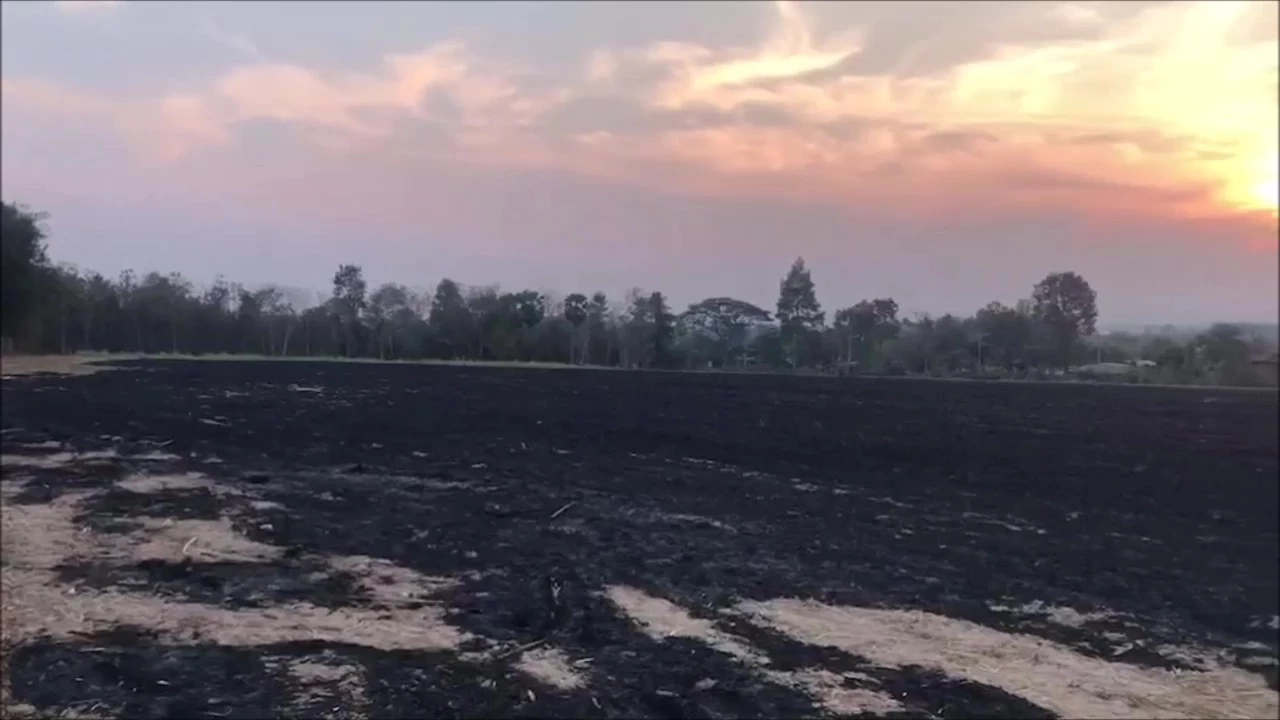 "ผู้ว่าฯอุดร" สั่งนายอำเภอแจ้งความเอาผิด “คนเผาอ้อย” 30 ไร่ จนเป็นทะเลเพลิง