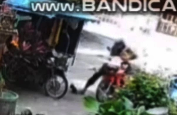 เก่งแต่กับหมา! เร่งล่าตัว " พนง.ขนส่งใจสถุล" ทำร้าย "ชิวาวา" จนชัก