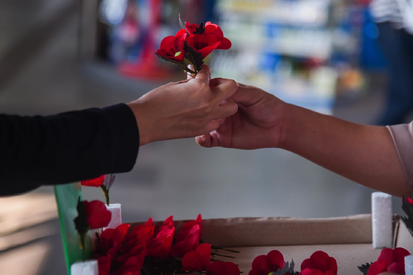 สดุดีวีรชนผู้กล้า 3 กุมภาพันธ์ วันทหารผ่านศึก