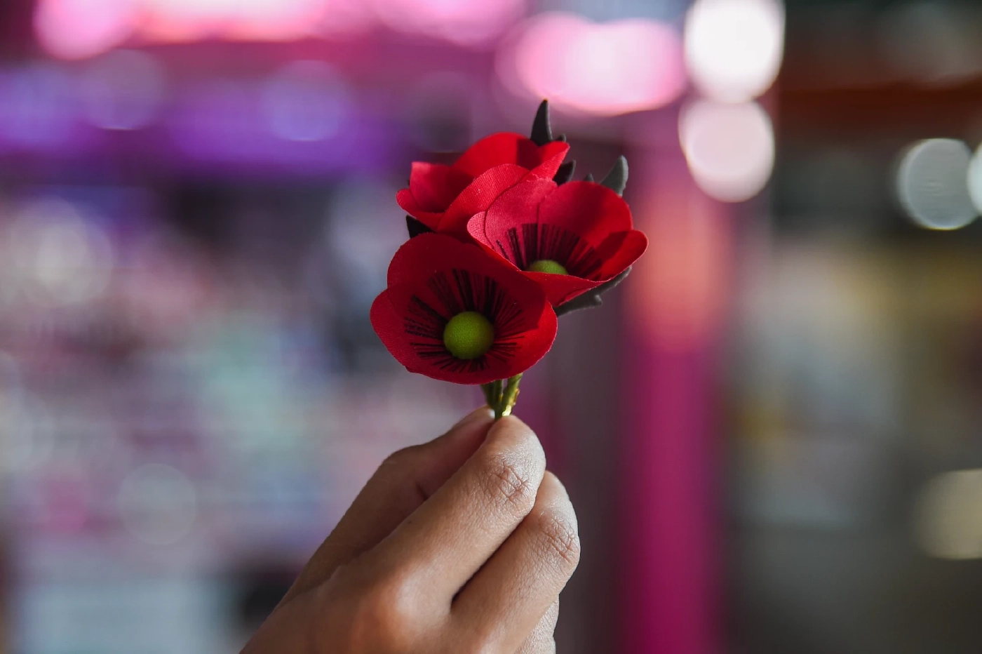 สดุดีวีรชนผู้กล้า 3 กุมภาพันธ์ วันทหารผ่านศึก