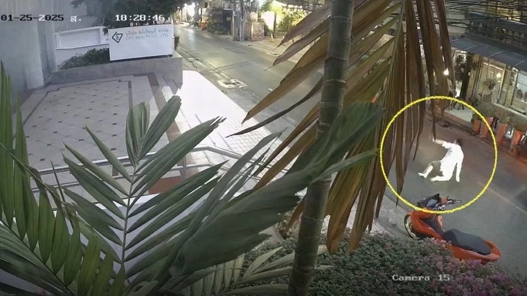 อุกอาจ! สองชายฉกรรจ์ รุมทำร้ายนายแพทย์ เจ้าของคลินิกย่านสีลม