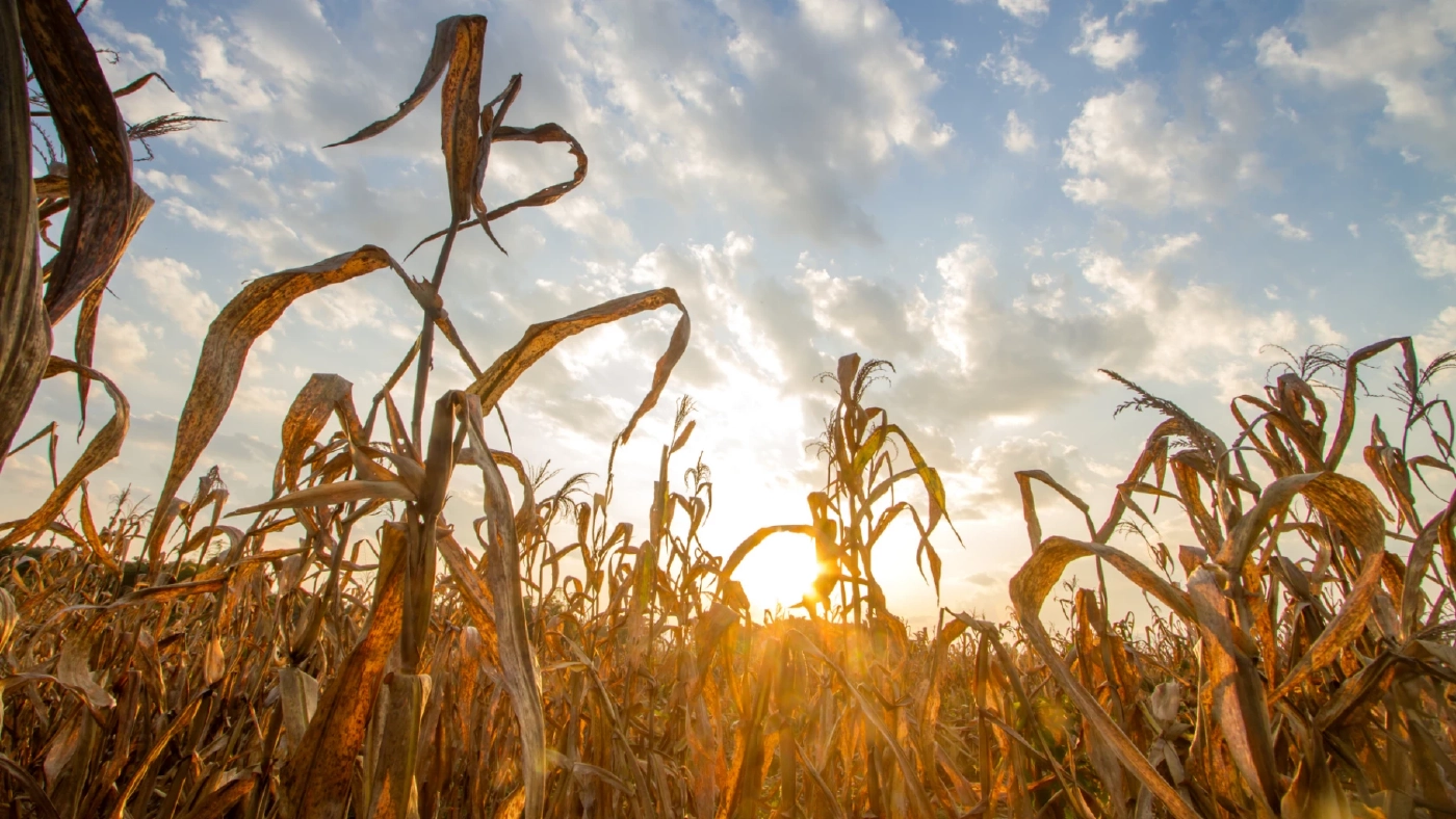 Climate Change การเปลี่ยนแปลง สถานการณ์ที่กำลังส่งผลกระทบทั่วมุมโลก