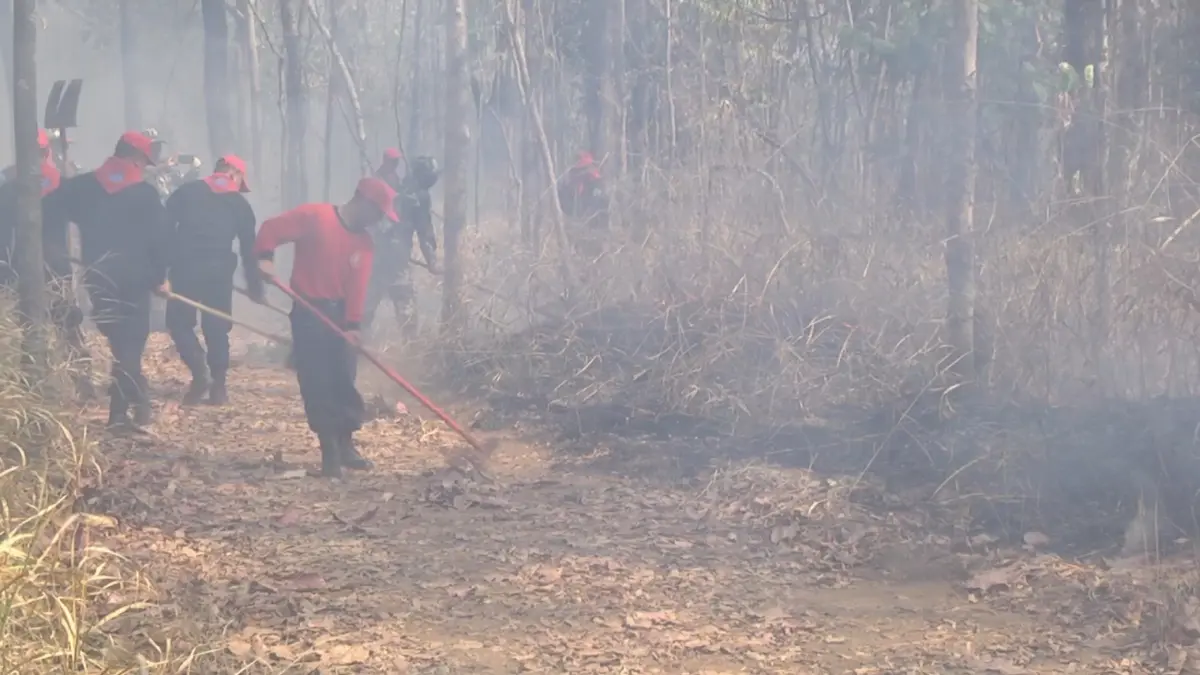 โคราชเผาฉ่ำ จับแล้ว 15 ราย สั่งยกระดับคุมเข้มฝุ่น "PM2.5" หลังเกินค่ามาตรฐาน