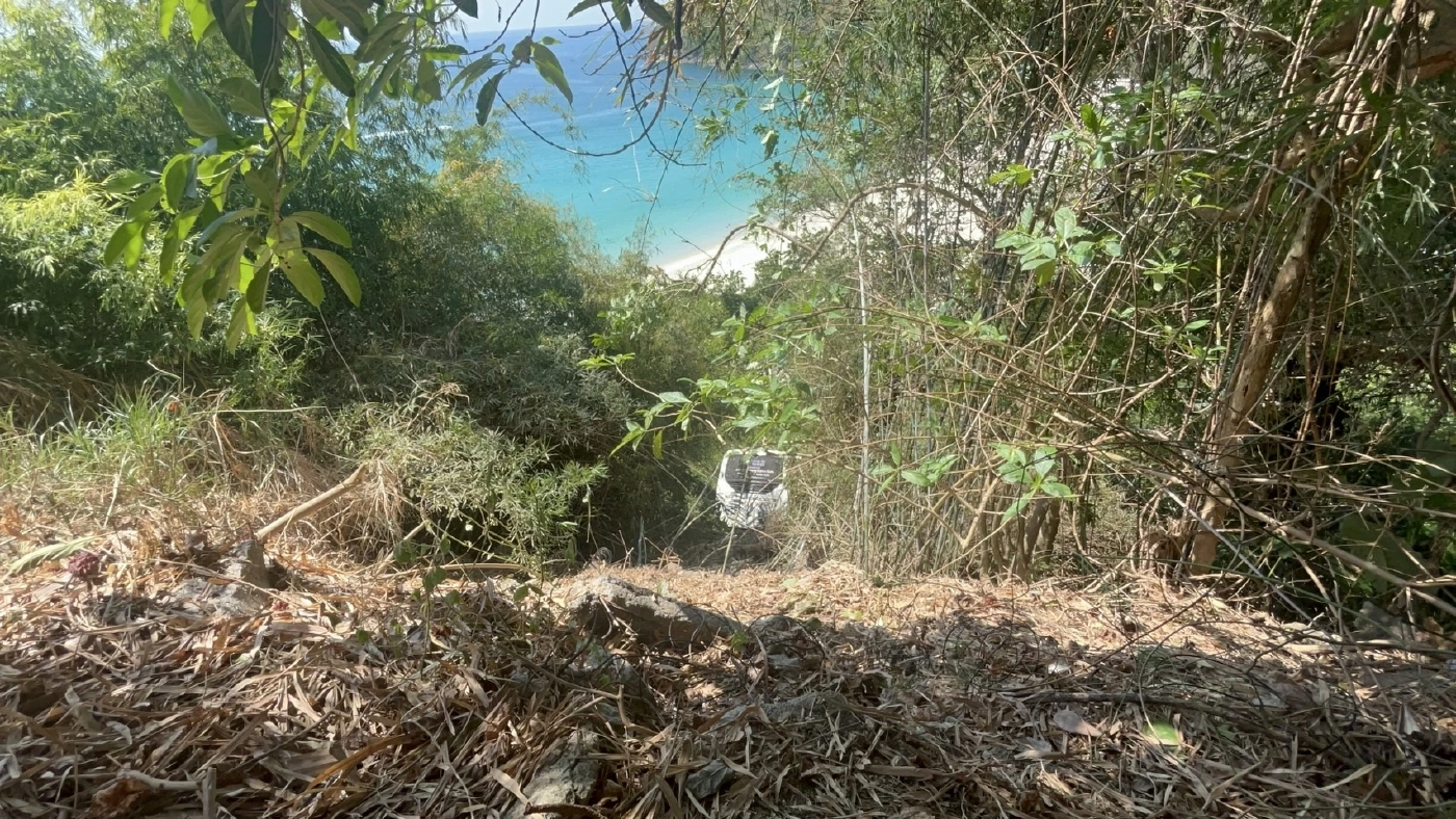 หวิดดับยกคัน! รถบัสนักท่องเที่ยวต่างชาติ เบรกแตก พุ่งตกเหว ลึก 15 เมตร