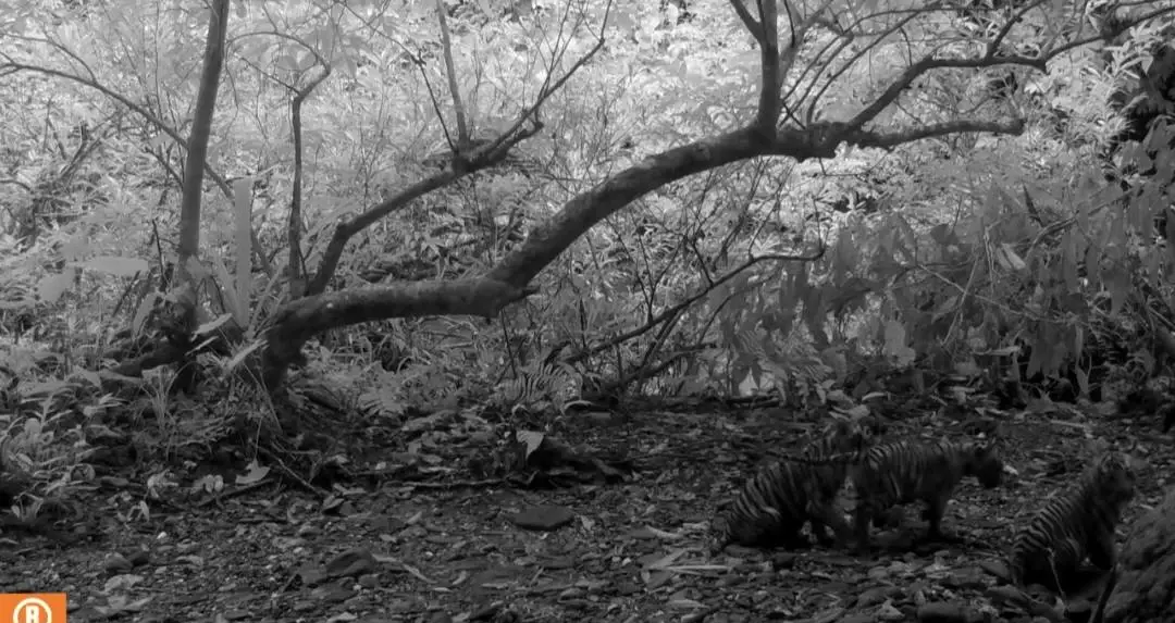 เครดิตภาพจาก : อุทยานแห่งชาติแก่งกระจาน - Kaeng Krachan National Park