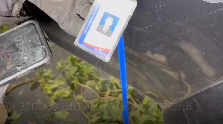 สลด! หนุ่มเทศบาล ขับปิกอัพพุ่งชนต้นไม้กลางดึก อัดก็อบปี้คาซาก ตร.คาดสาเหตุ