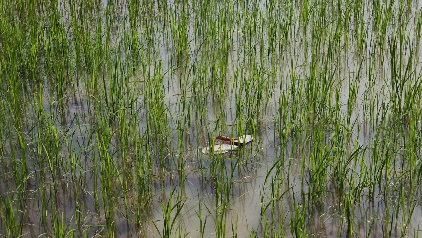 ปลัดเล่านาทีชีวิต เปิดฉากวิสามัญพ่อค้ายาเสพติด ขณะญาติยังติดใจ