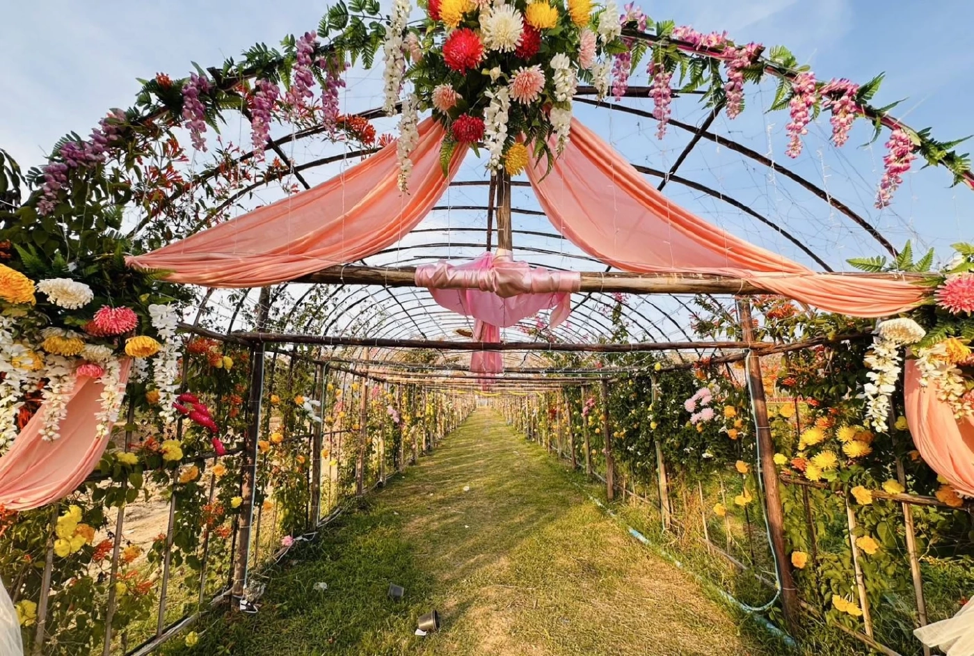 ส่องกิจกรรม "เทศกาลเบญจมาศบานในม่านหมอก ครั้งที่ 23" ที่โคราช มีอะไรบ้างไม่ควรพลาด