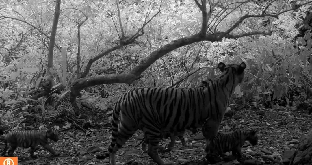 เครดิตภาพจาก : อุทยานแห่งชาติแก่งกระจาน - Kaeng Krachan National Park
